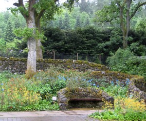 explorers garden