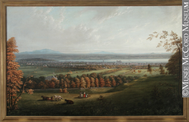 Montreal from the Mountain