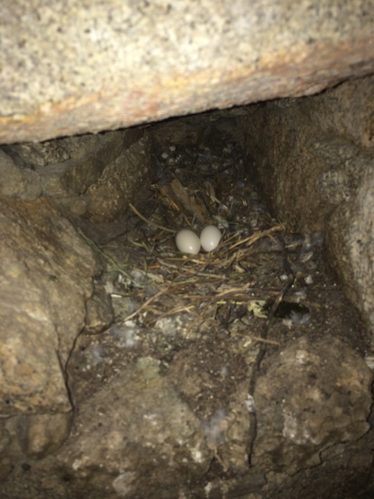 UNADJUSTEDNONRAW_thumb_54