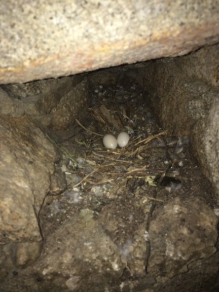 UNADJUSTEDNONRAW_thumb_54