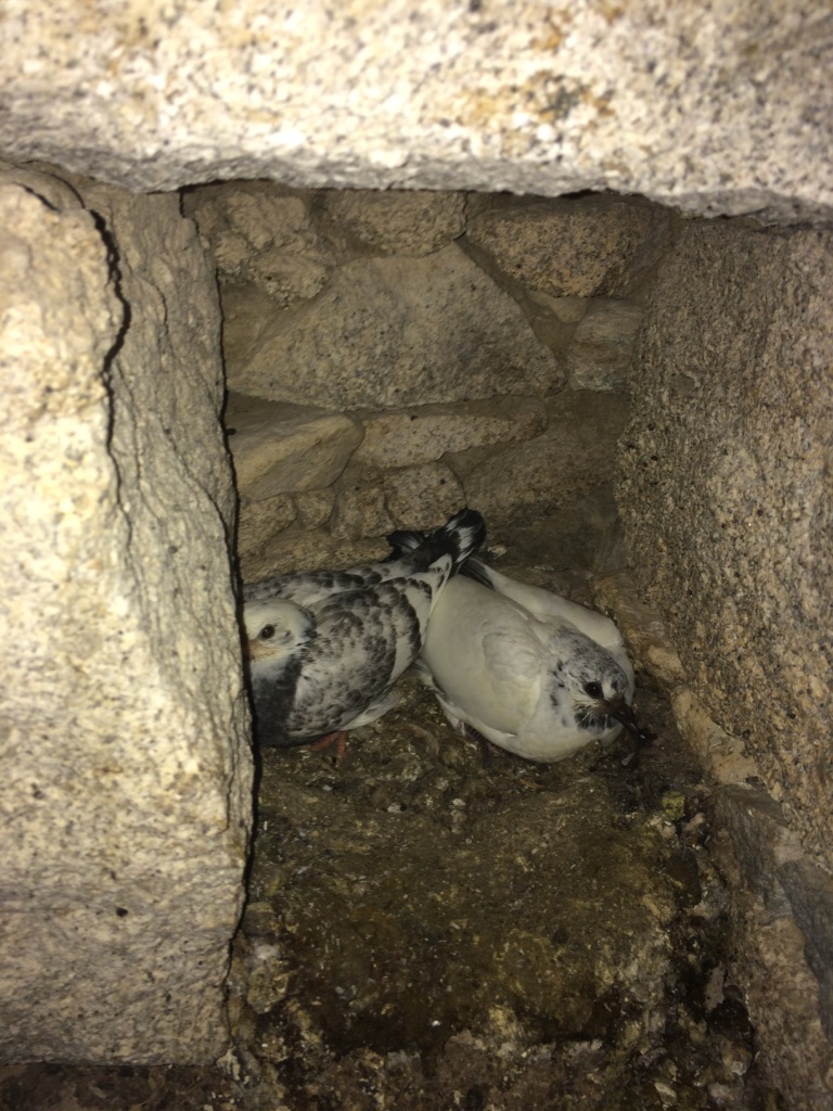 UNADJUSTEDNONRAW_thumb_57