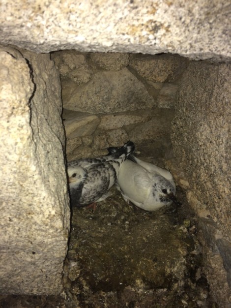 UNADJUSTEDNONRAW_thumb_57