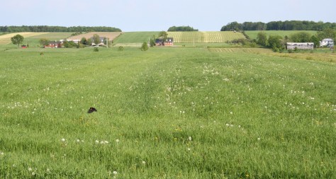 south shore famrland