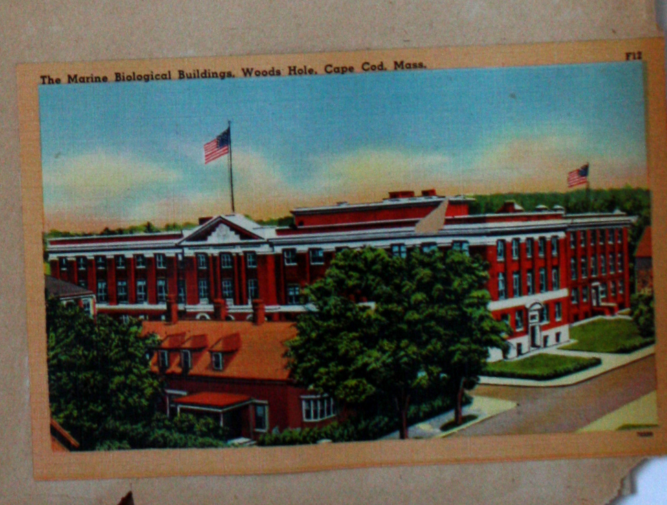 Woods Hole institute