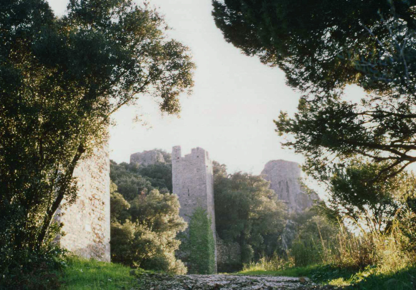 Hyeres castle ruins