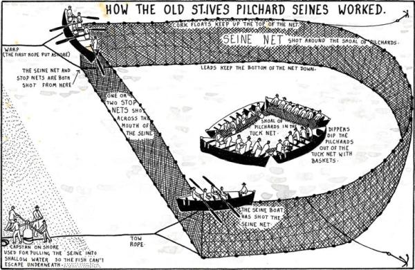 This image has an empty alt attribute; its file name is diagram-st-ives-pilchard-seines-1.jpg