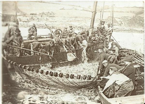 This image has an empty alt attribute; its file name is tucking-a-seine-copywrite-john-mcwilliams.jpg